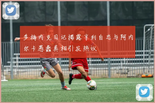 多梅内克日记揭露亨利自恋与阿内尔卡愚蠢真相引发热议